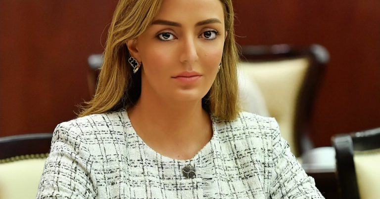 “Ermənistanın dezinformasiya siyasəti ən peşəkar formada zərərsizləşdirilir”